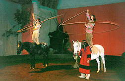 Lassodrehen auf dem Pferd in einer Indianershow im Circus